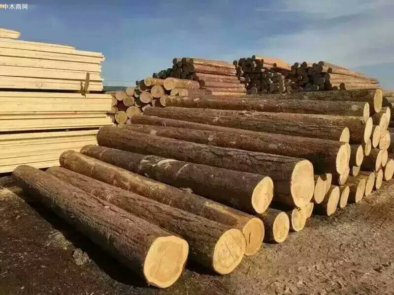 新西兰原木出口市场展望