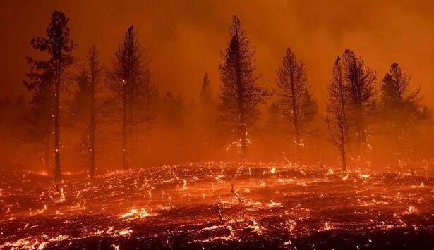 欧洲多国发生大规模野火事件