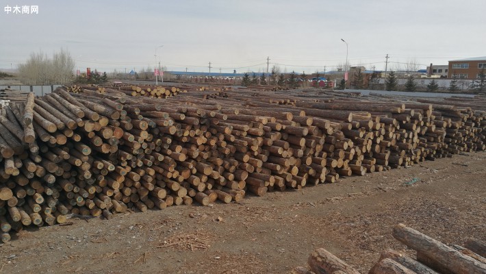 俄罗斯对华木材出口行情