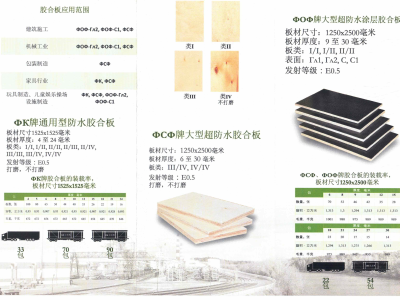 进口全桦木胶合板（白俄罗斯出口欧洲标准）图3