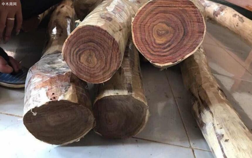 越南木材价格行情