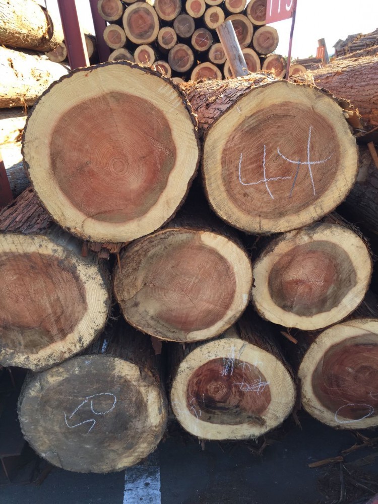 产业供应双链驱动 兰州新区商投集团木材日本畅销
