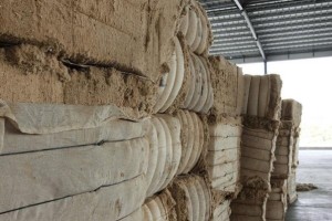 上半年四川竹材制浆产能突破170万吨