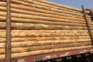 俄罗斯：欧盟木材禁令对我们并没有太大影响