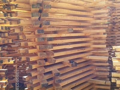 建筑工程工地木方木条 实木板 天然原生态原木条 木桩条批发图3