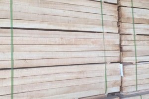 上半年，马来西亚木材出口达132亿令吉