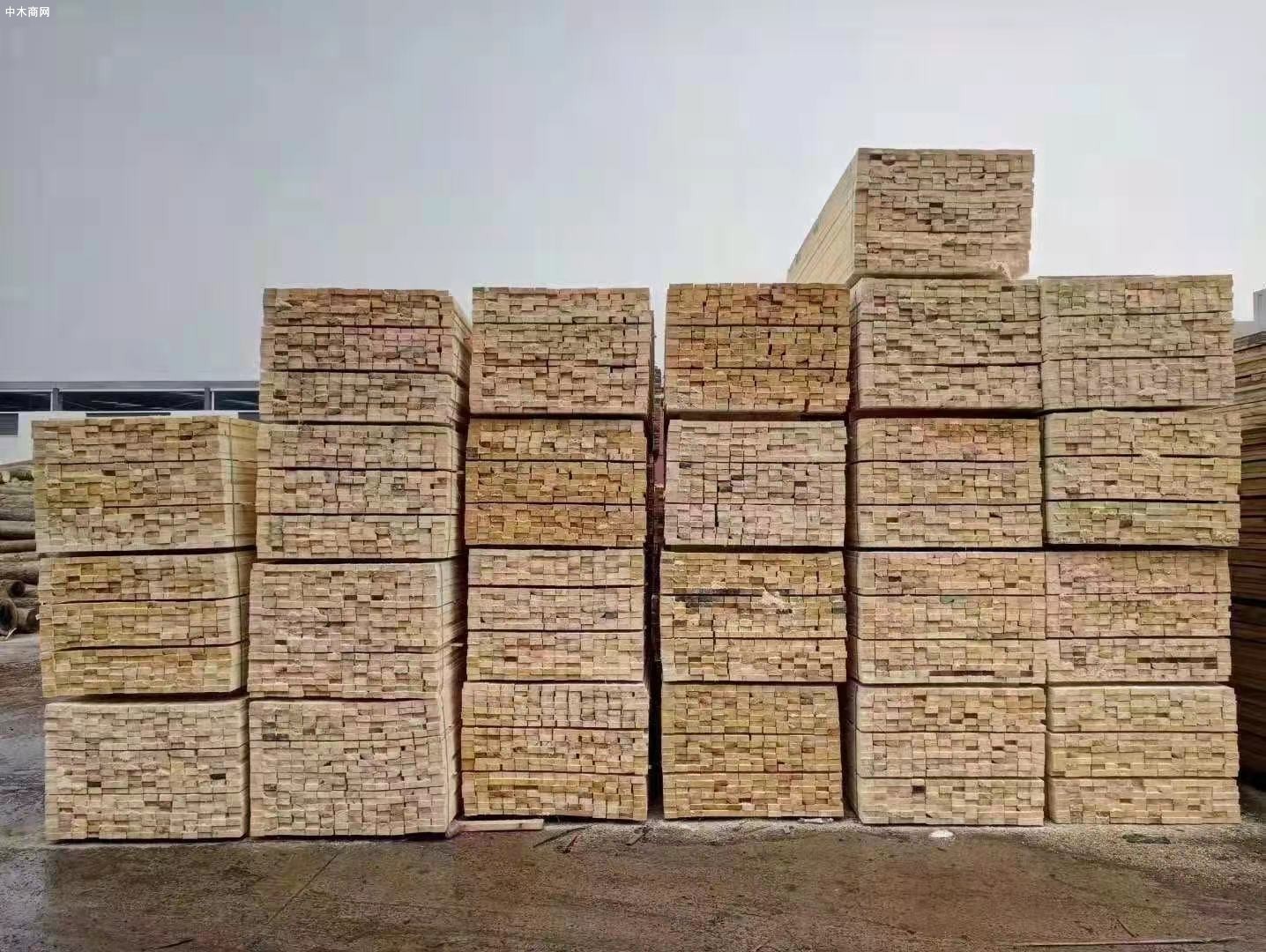 江苏沭阳县长调研木材加工产业发展情况
