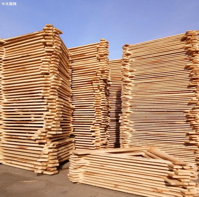 世界木材与木制品贸易大会在南宁召开