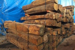 上半年加纳木制品出口数量增长13.8%