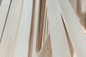 俄罗斯西北木材企业寻求更多物流补贴