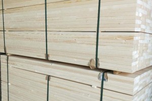 世界木材与木制品贸易大会举办