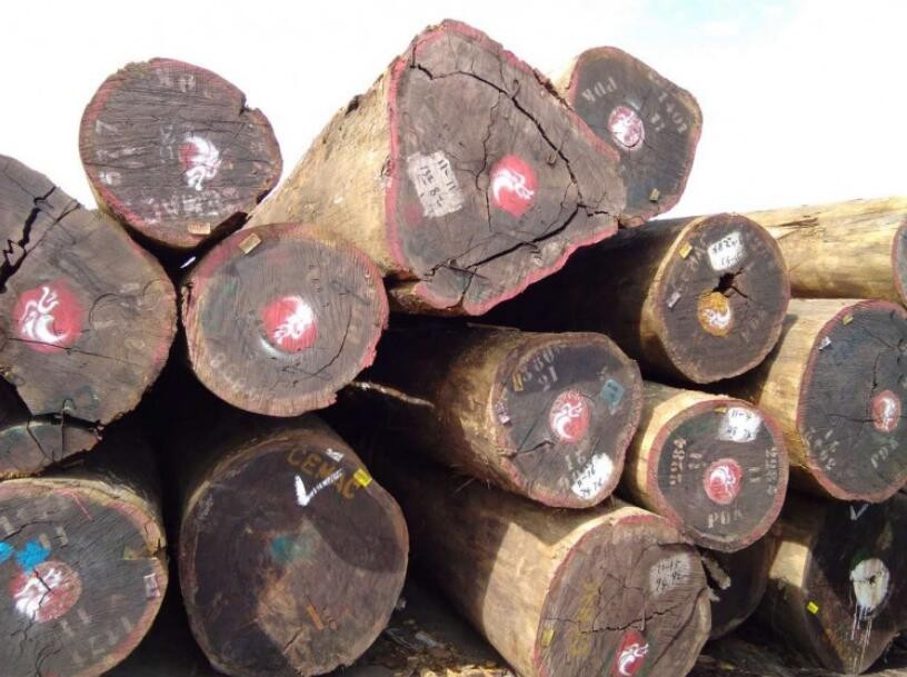 加蓬上半年单板等加工木材出口价值增长55%