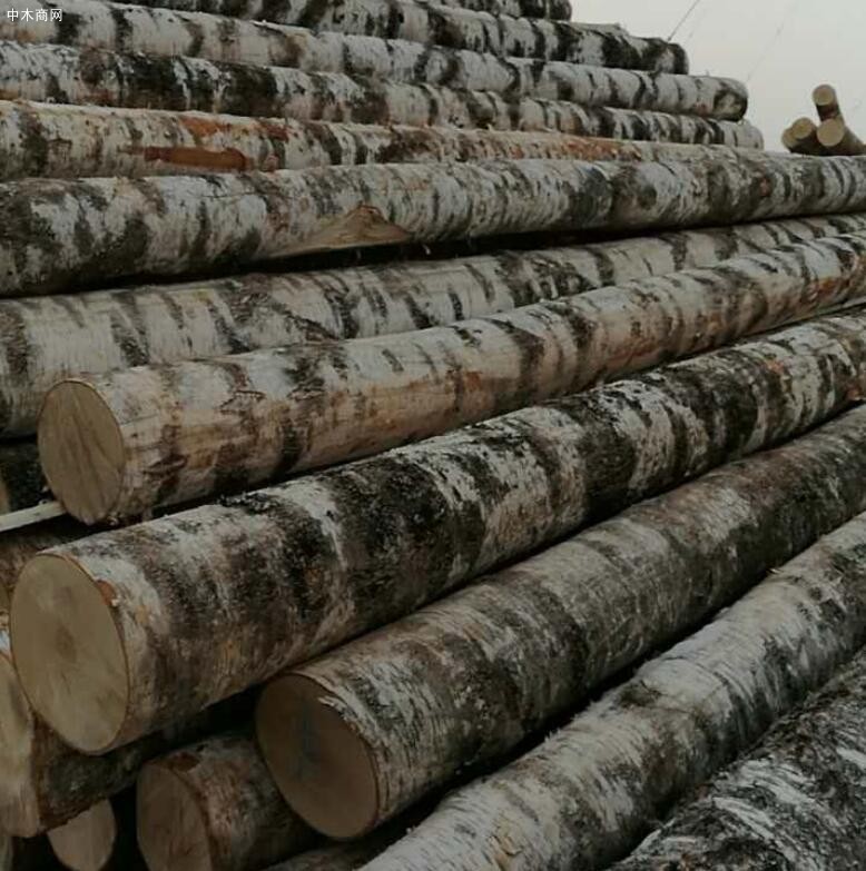 拨款约100亿卢布！俄罗斯实施支持国内木材工业