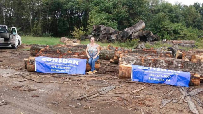  飓风“伊恩”正对美洲木材产区造成巨大冲击