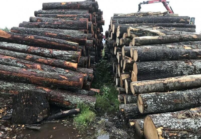欧洲木材价格行情
