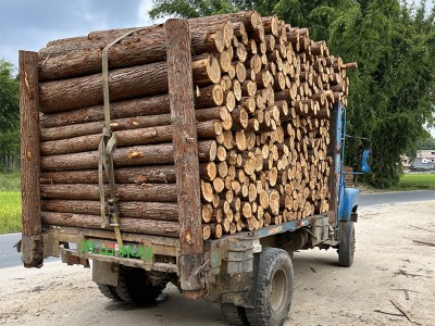 大料 粗料本地杉木木材 圆木条 杉木条 杉木桩 木柱房梁用料图3