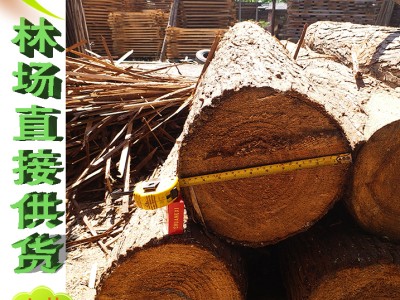 大料 粗料本地杉木木材 圆木条 杉木条 杉木桩 木柱房梁用料图4