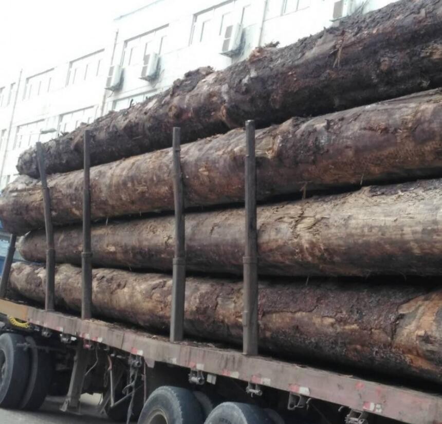 全球软木贸易同比下降20%