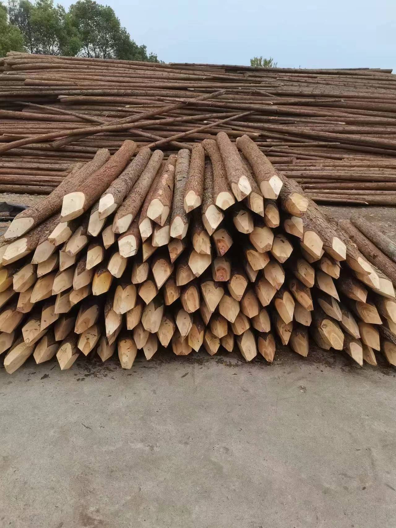 宁明县朝林业产业产值超200亿元目标迈进
