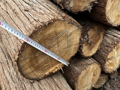 林场直供--本地香杉木材 杉木原木 杉木桩 支撑竿 房梁木材