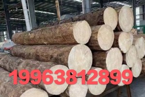 建筑木材工程白松木方批发销售 辐射松木方加工厂