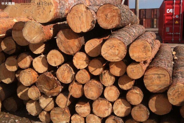 贵港两人盗窃20余吨木材，获利1.47万元！
