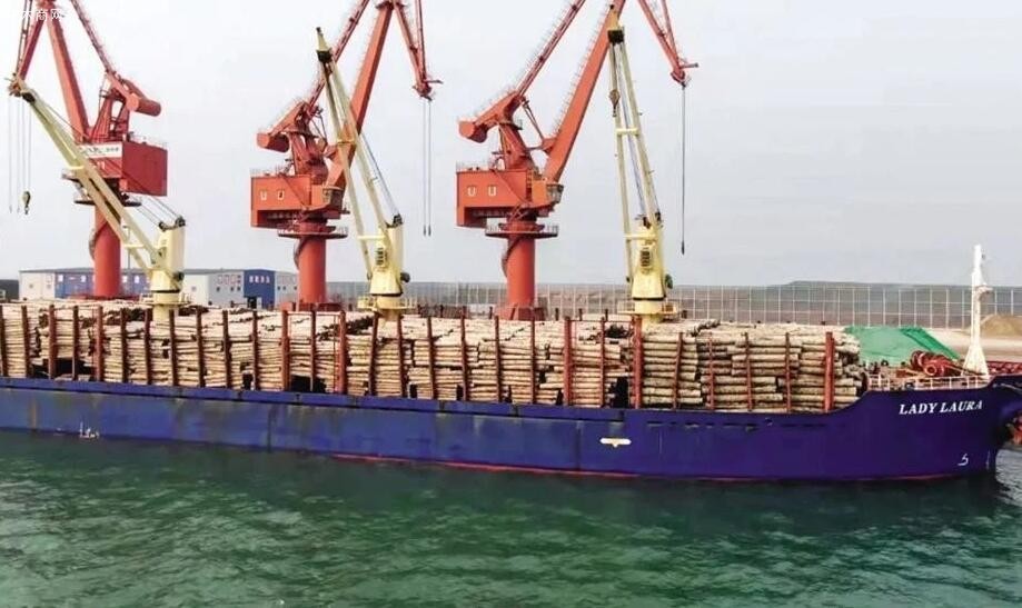 蓬莱港木材吞吐量首次突破100万方