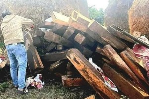 越南七旬老人家中搜出122根非法木材