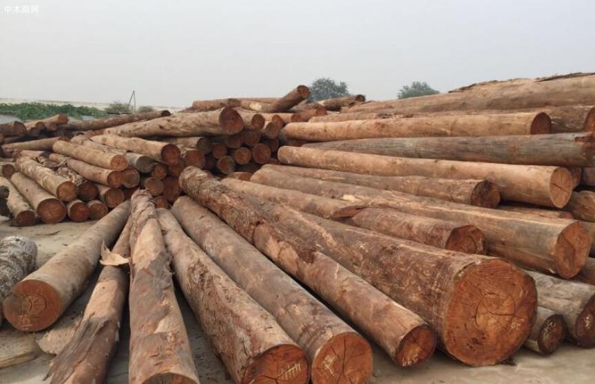 非洲原木出口加税过重，非洲原木供应商发动罢工