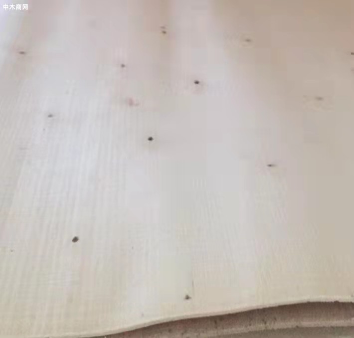 求购：杨木三拼杨木四拼板皮