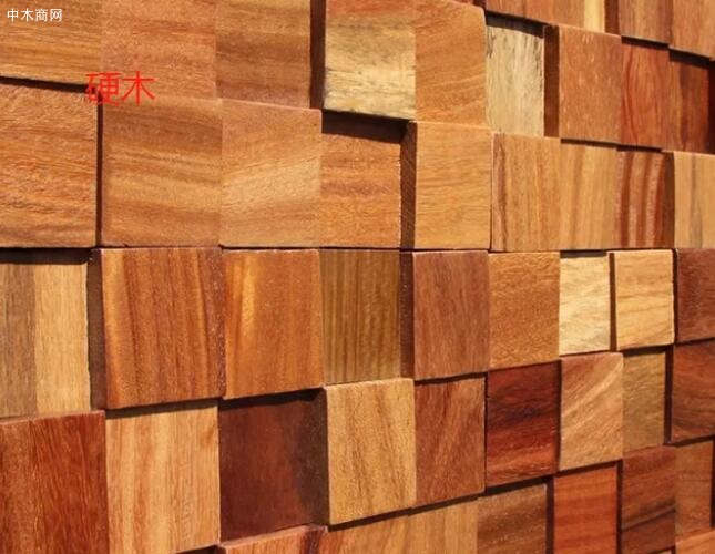 什么是软木木材及怎样辨别软木和硬木价格行情