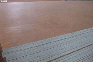 木业产业助力临沂市兰山区成为省级强县