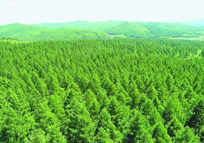中国林业集团贵州总部项目投资协议顺利落户