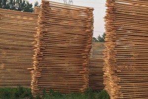 河南省信阳固始县全力推动木材加工企业转型升级