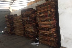 3000公斤木材凭空消失？