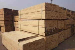 洛南灵口镇大力开展木材加工市场清理整顿行动