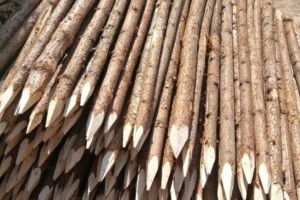 宣城盛平木业上海杉木桩规格怎么量