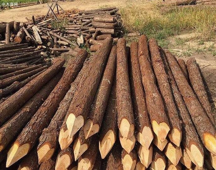 宣城盛平木业上海杉木桩规格怎么量图片
