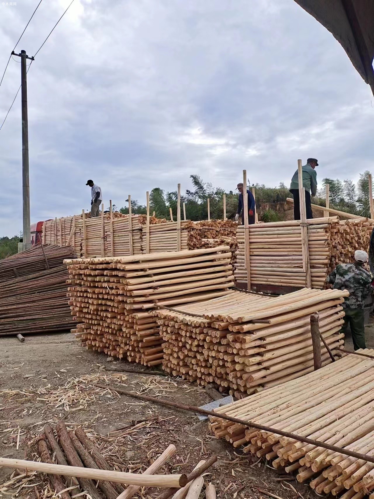 宣城盛平木业上海杉木桩规格怎么量价格