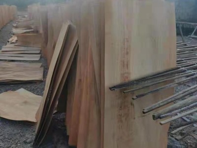 广东强鼎西南桦木单板生产厂家图2
