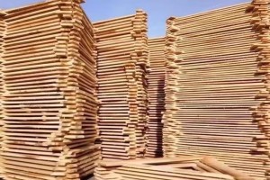2023全球木材与木制品大会将于7月初在日照市召开