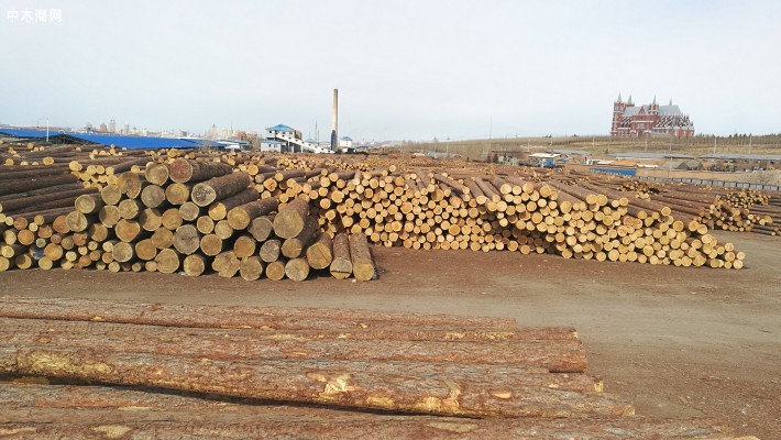 2023年1月份俄罗斯的木材砍伐量同比下滑约10%