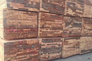 青海海东市乐都区开展木材加工厂检查