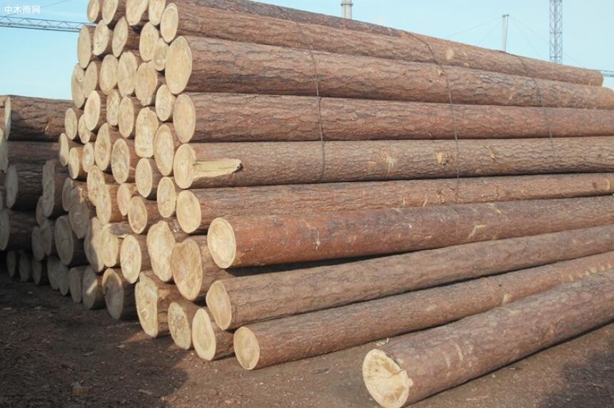 欧盟森林砍伐法将适用于进口木材、家具等产品