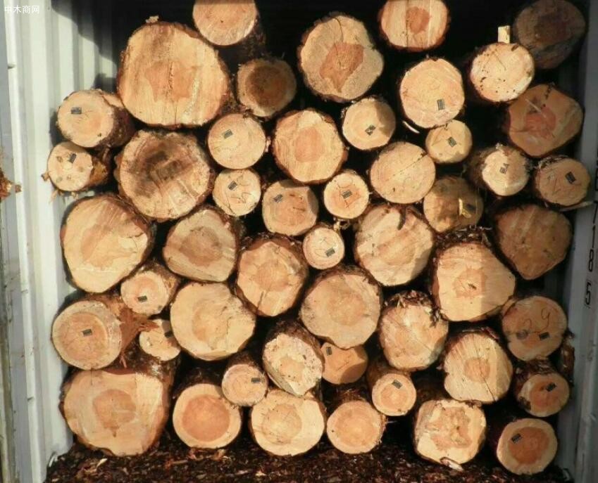 乌克兰要求对来自白俄罗斯的木材实施制裁