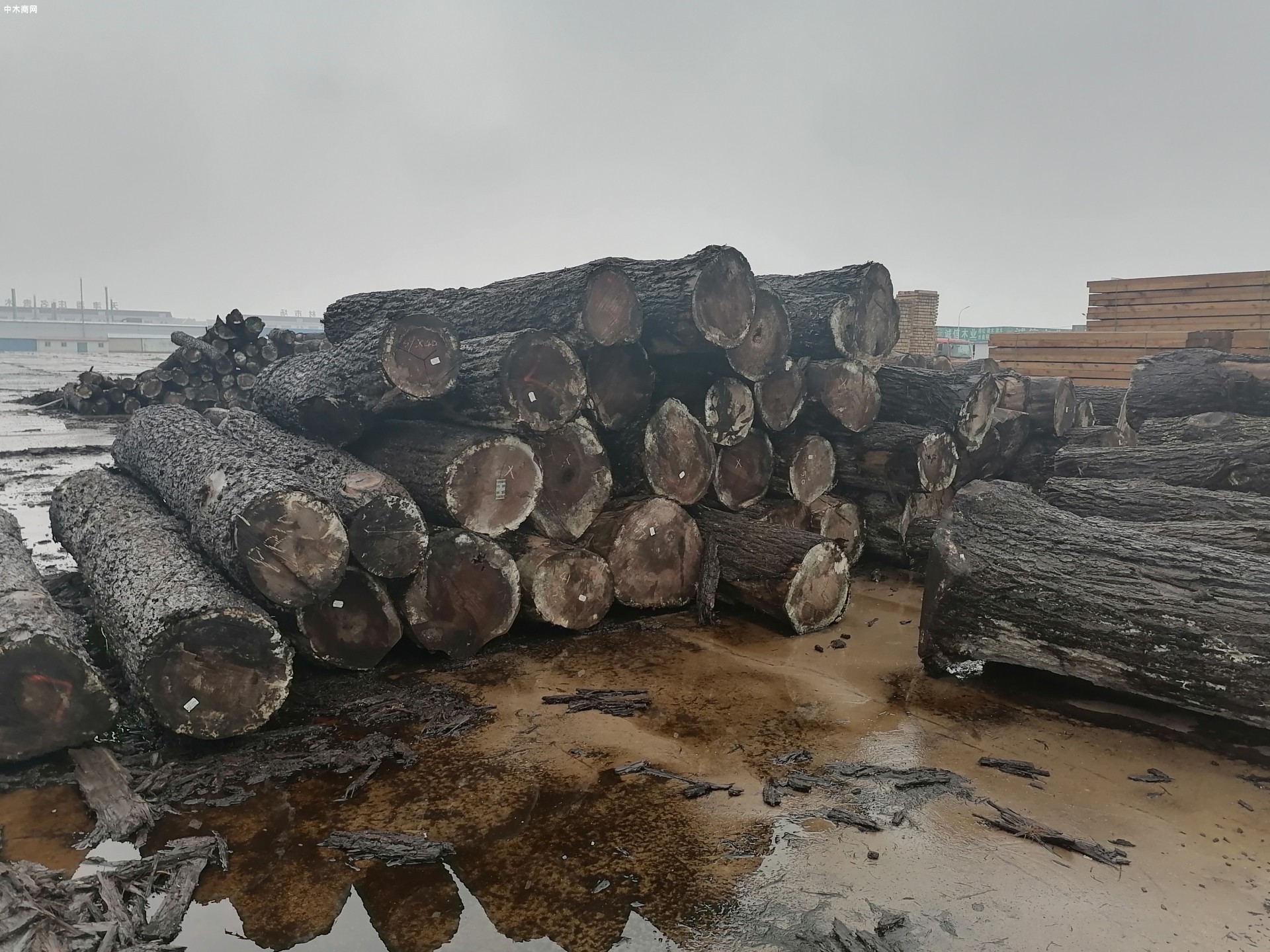 木材行业行情