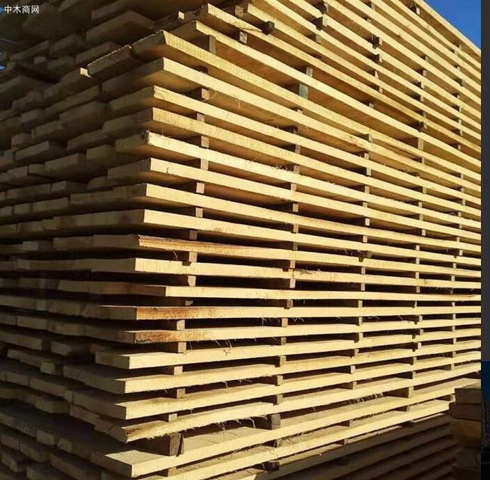 临颍优浩白杨木是什么木材做的价格