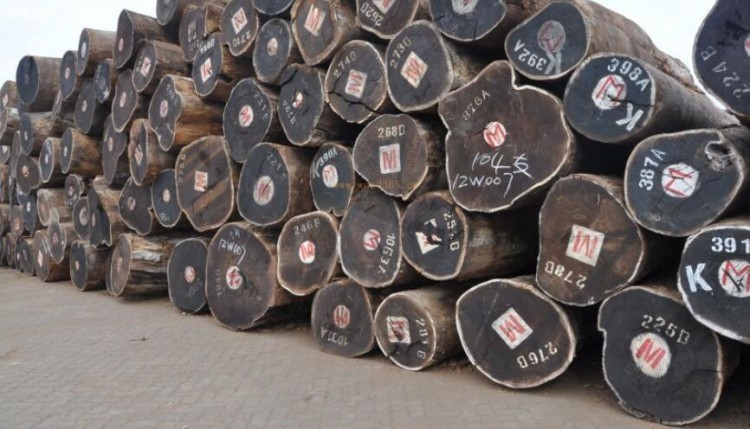 一季度非洲木材出口价格上涨