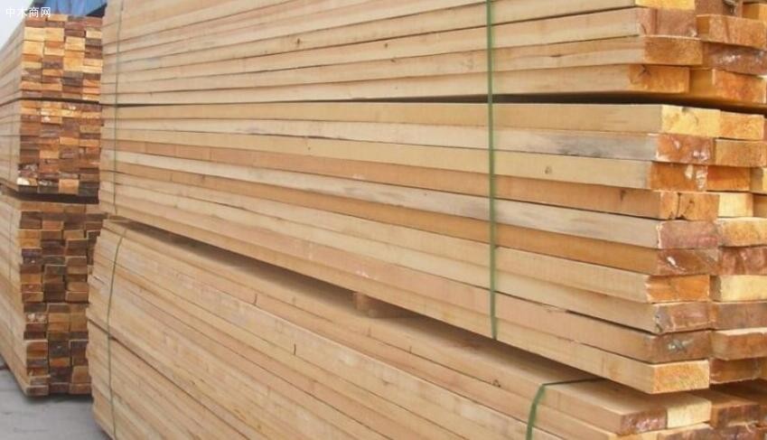福建省将乐县多措并举筑牢木材生产安全防线