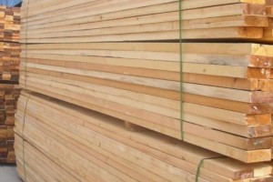 福建省将乐县多措并举筑牢木材生产安全防线